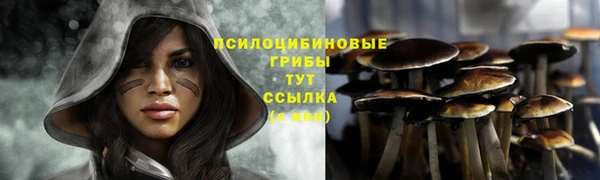 стафф Балабаново