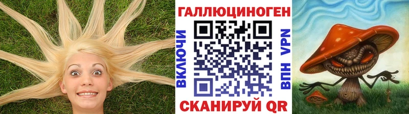 наркота  Шадринск  гидра вход  Галлюциногенные грибы прущие грибы 